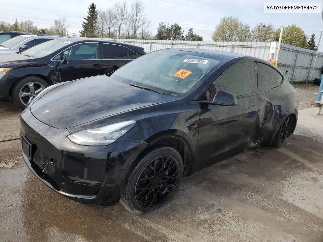 2021 Tesla Model Y VIN: 5YJYGDEE6MF184572 Lot: 56906965