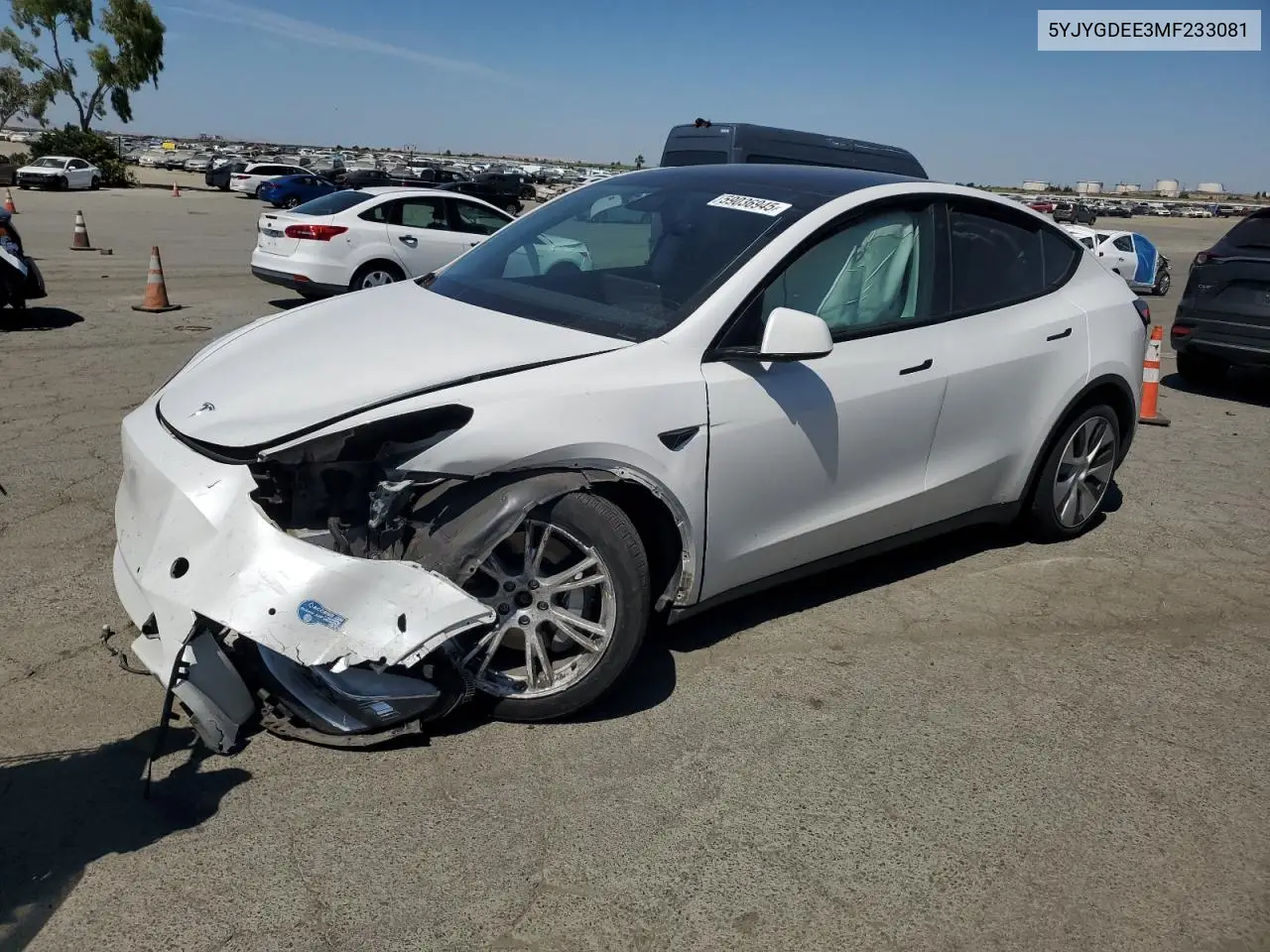 2021 Tesla Model Y VIN: 5YJYGDEE3MF233081 Lot: 59036945
