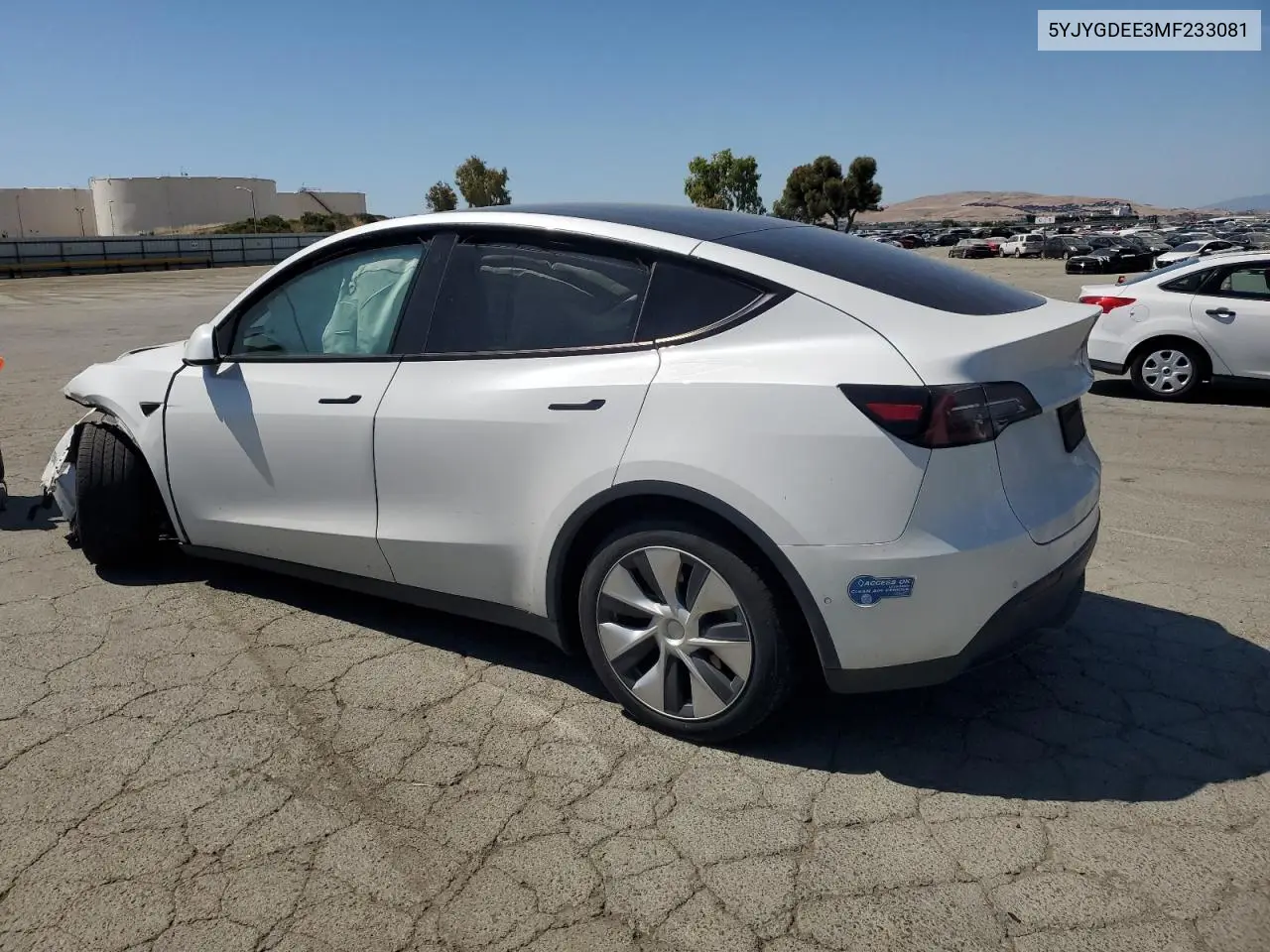 2021 Tesla Model Y VIN: 5YJYGDEE3MF233081 Lot: 59036945