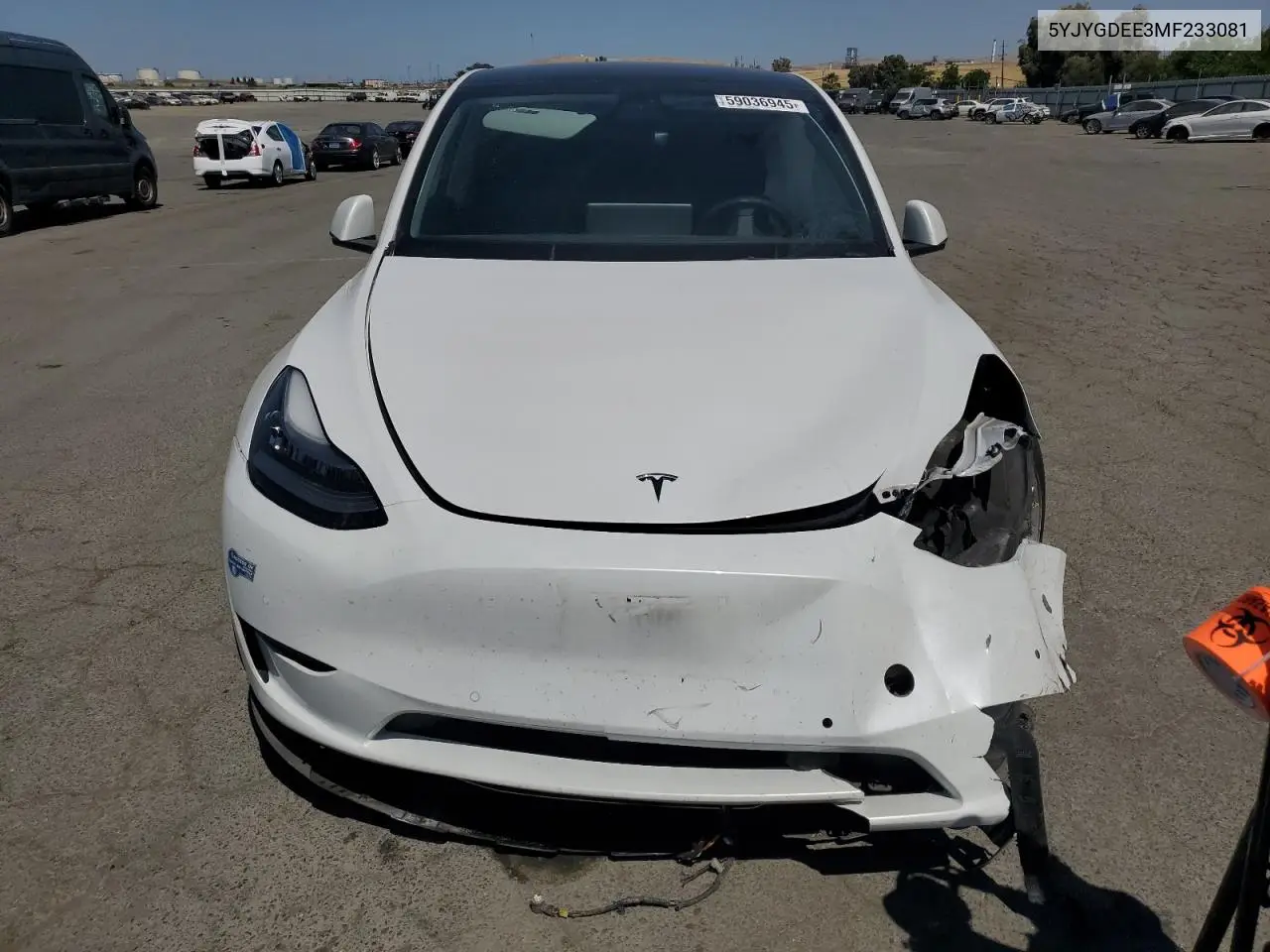 2021 Tesla Model Y VIN: 5YJYGDEE3MF233081 Lot: 59036945