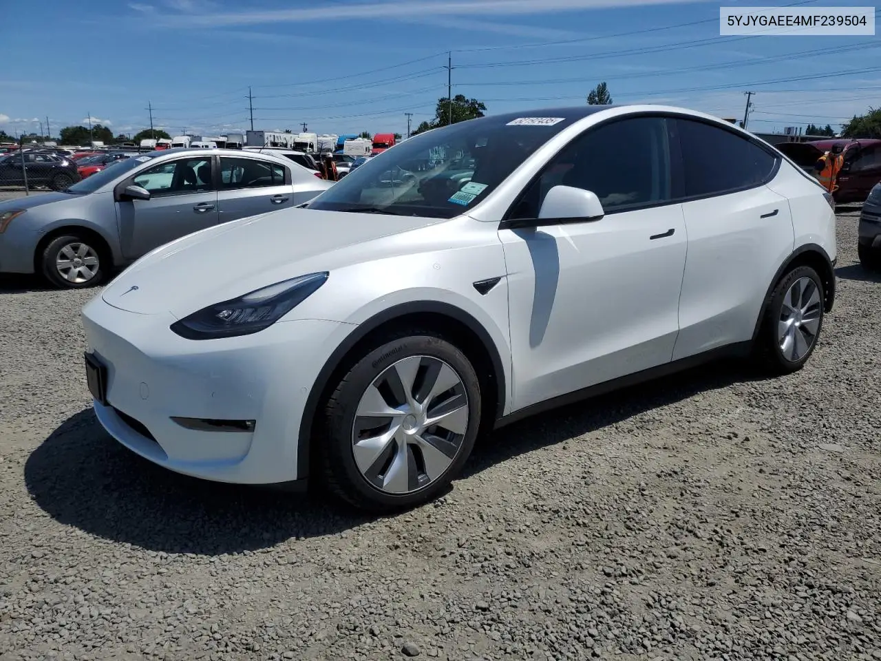2021 Tesla Model Y VIN: 5YJYGAEE4MF239504 Lot: 62192435