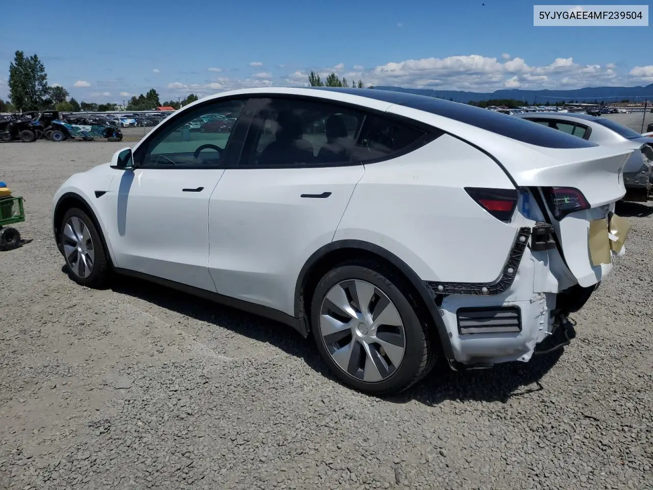 2021 Tesla Model Y VIN: 5YJYGAEE4MF239504 Lot: 62192435