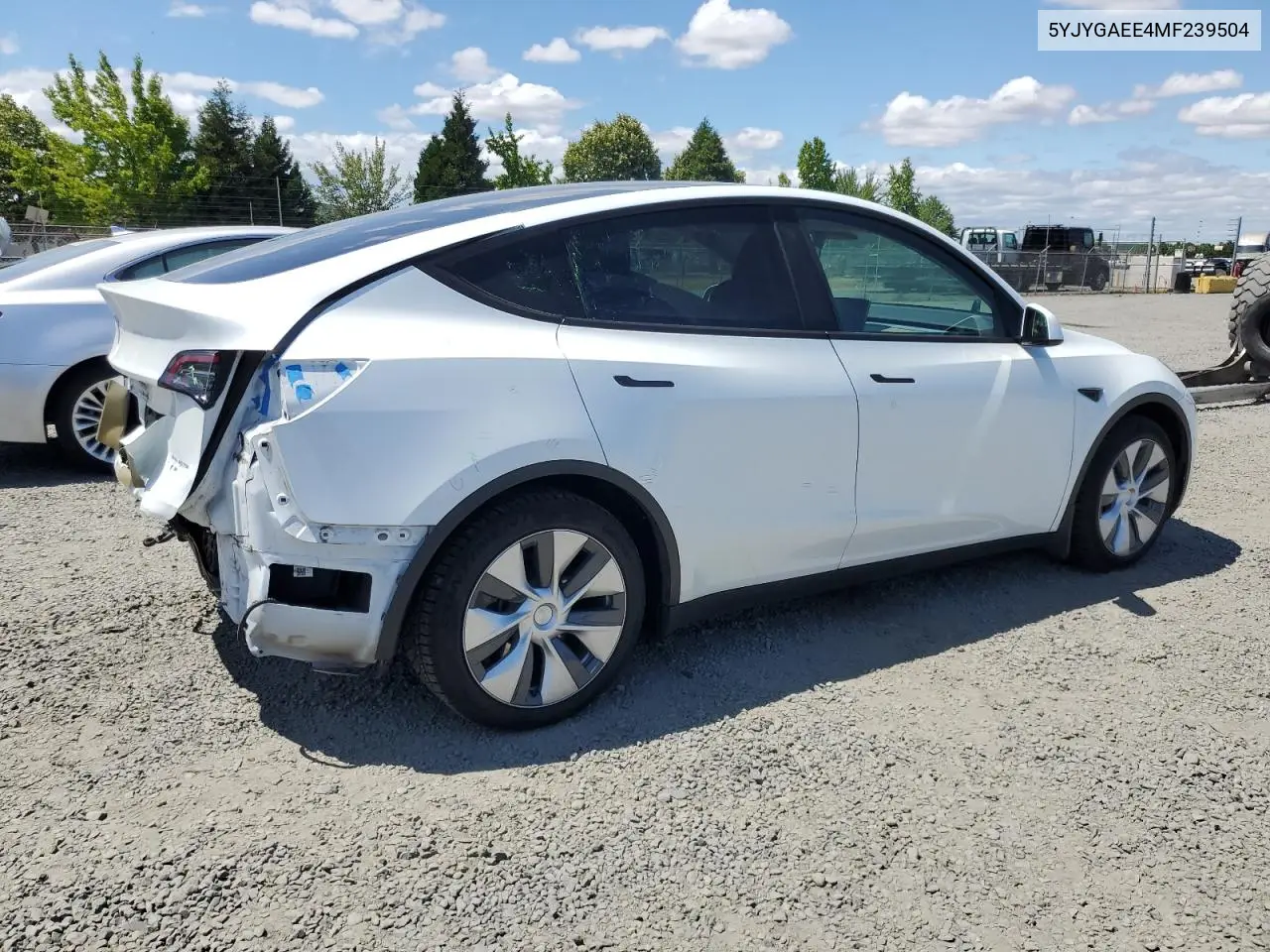 2021 Tesla Model Y VIN: 5YJYGAEE4MF239504 Lot: 62192435