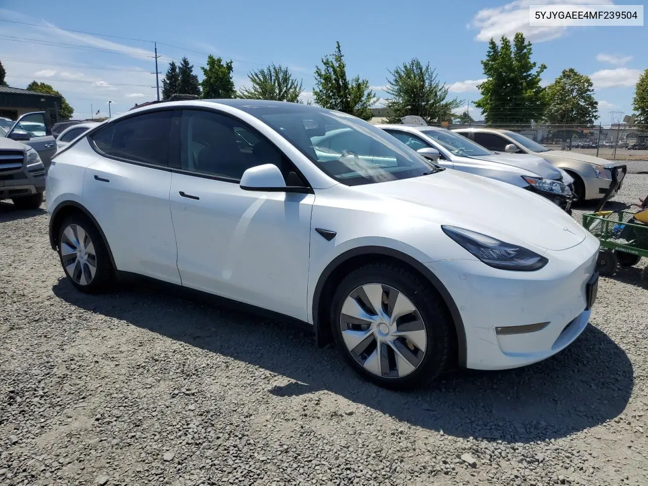2021 Tesla Model Y VIN: 5YJYGAEE4MF239504 Lot: 62192435