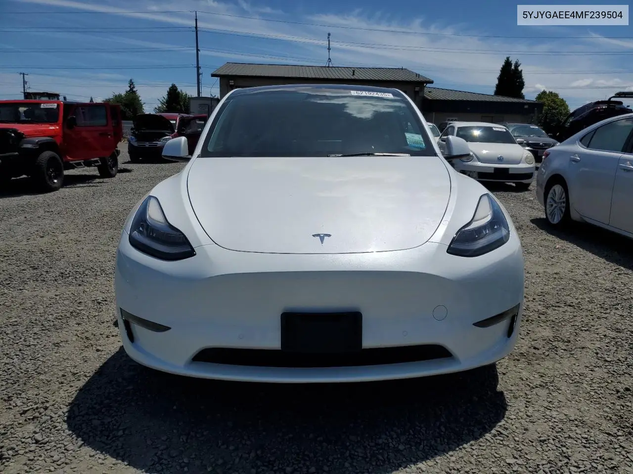 2021 Tesla Model Y VIN: 5YJYGAEE4MF239504 Lot: 62192435