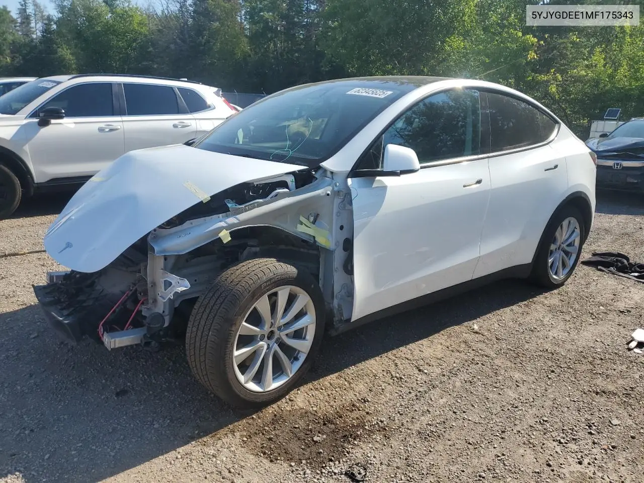 2021 Tesla Model Y VIN: 5YJYGDEE1MF175343 Lot: 62345625