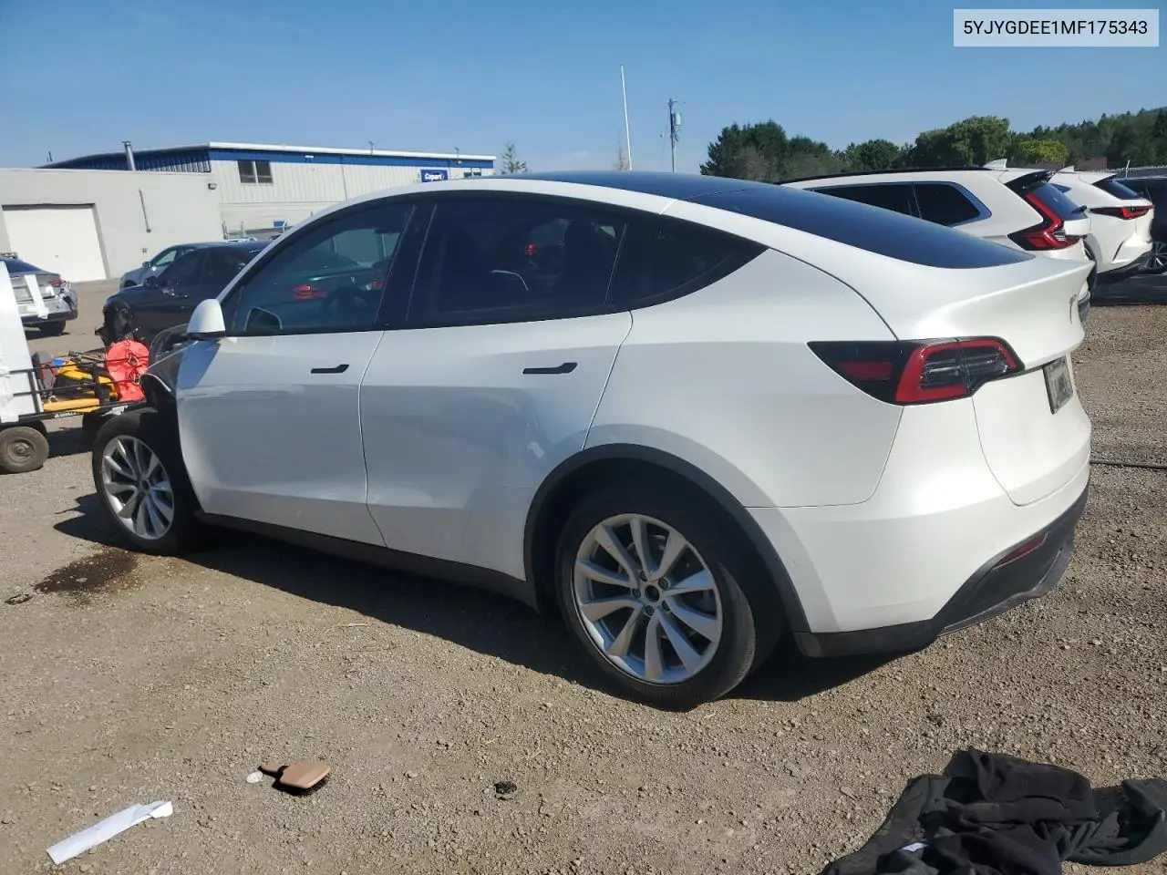 2021 Tesla Model Y VIN: 5YJYGDEE1MF175343 Lot: 62345625