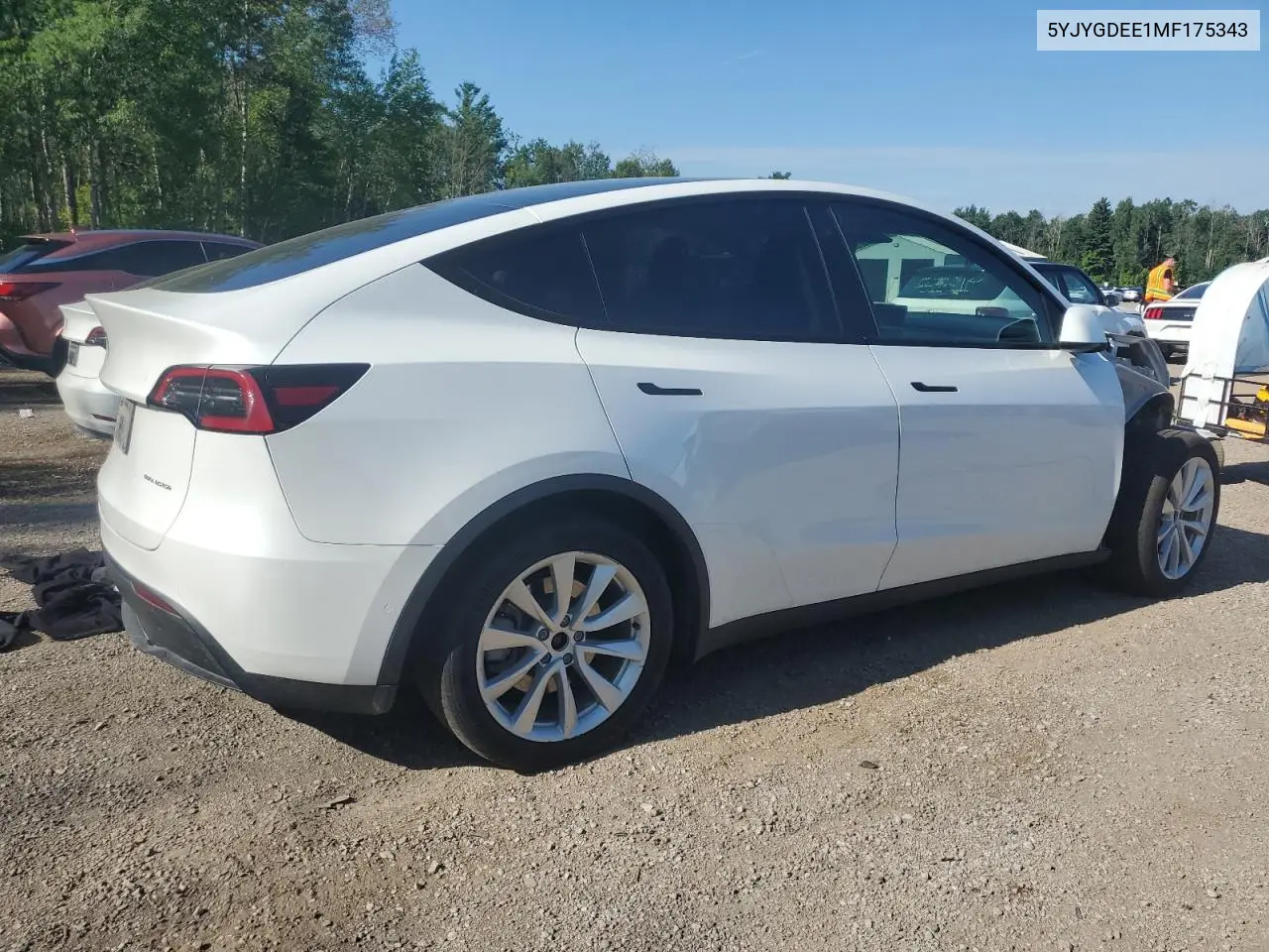 2021 Tesla Model Y VIN: 5YJYGDEE1MF175343 Lot: 62345625