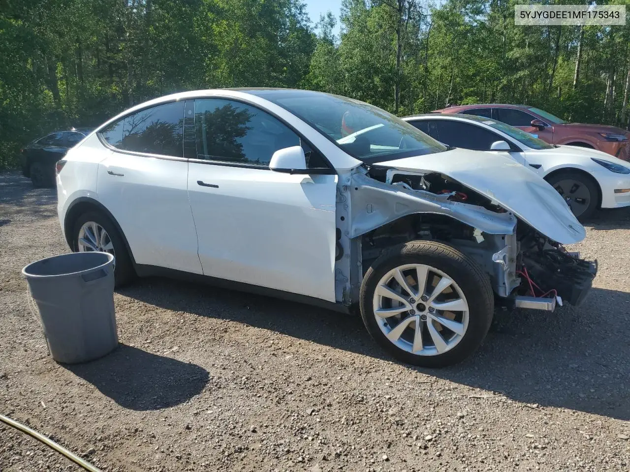 2021 Tesla Model Y VIN: 5YJYGDEE1MF175343 Lot: 62345625