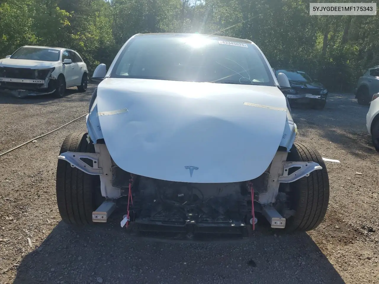 2021 Tesla Model Y VIN: 5YJYGDEE1MF175343 Lot: 62345625