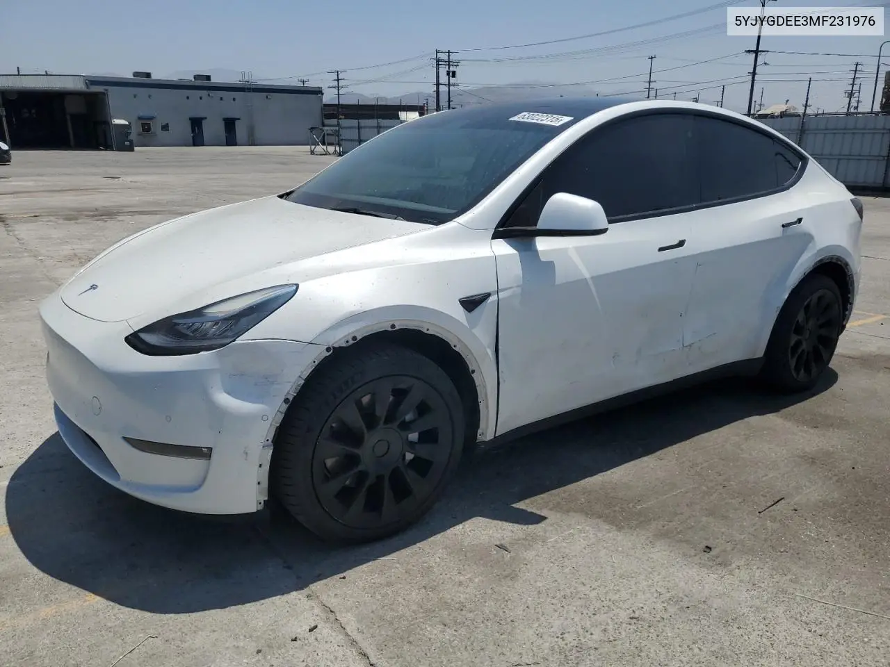 2021 Tesla Model Y VIN: 5YJYGDEE3MF231976 Lot: 63022315