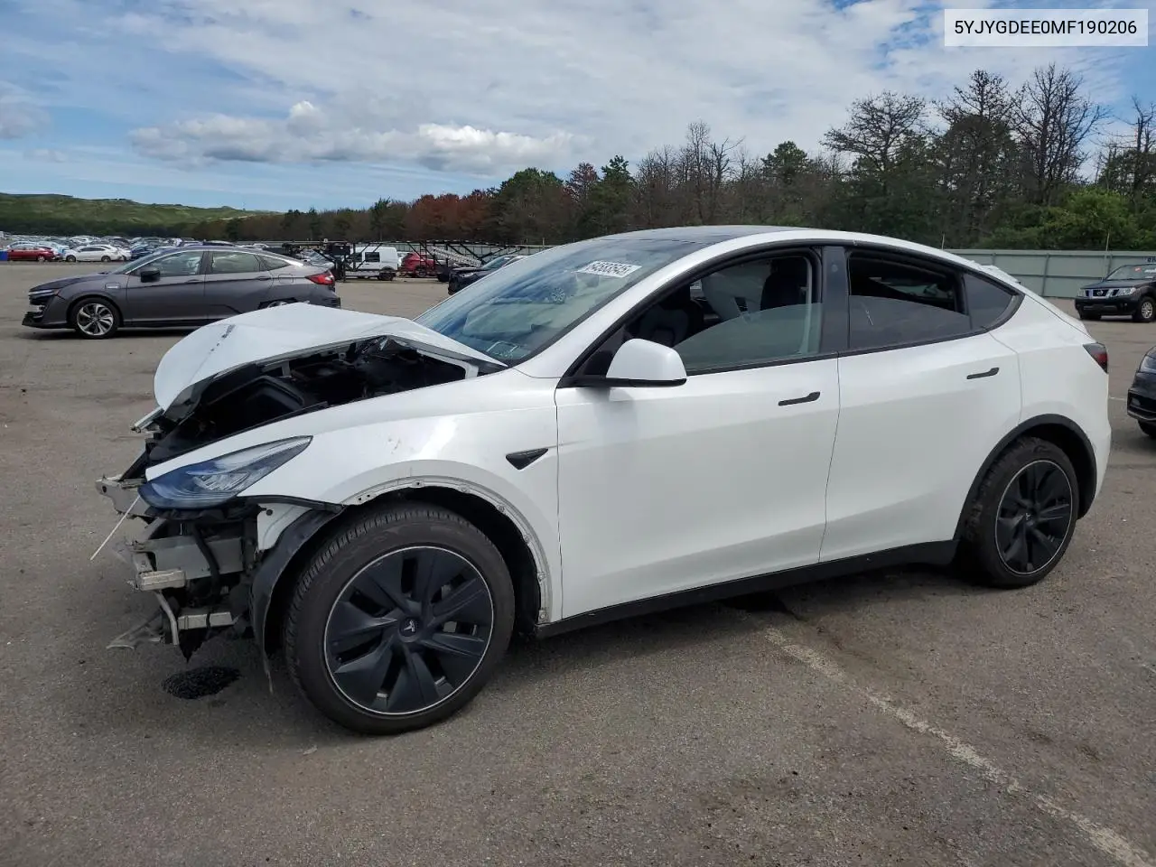 2021 Tesla Model Y VIN: 5YJYGDEE0MF190206 Lot: 64583545