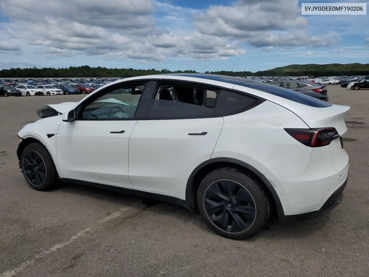 2021 Tesla Model Y VIN: 5YJYGDEE0MF190206 Lot: 64583545