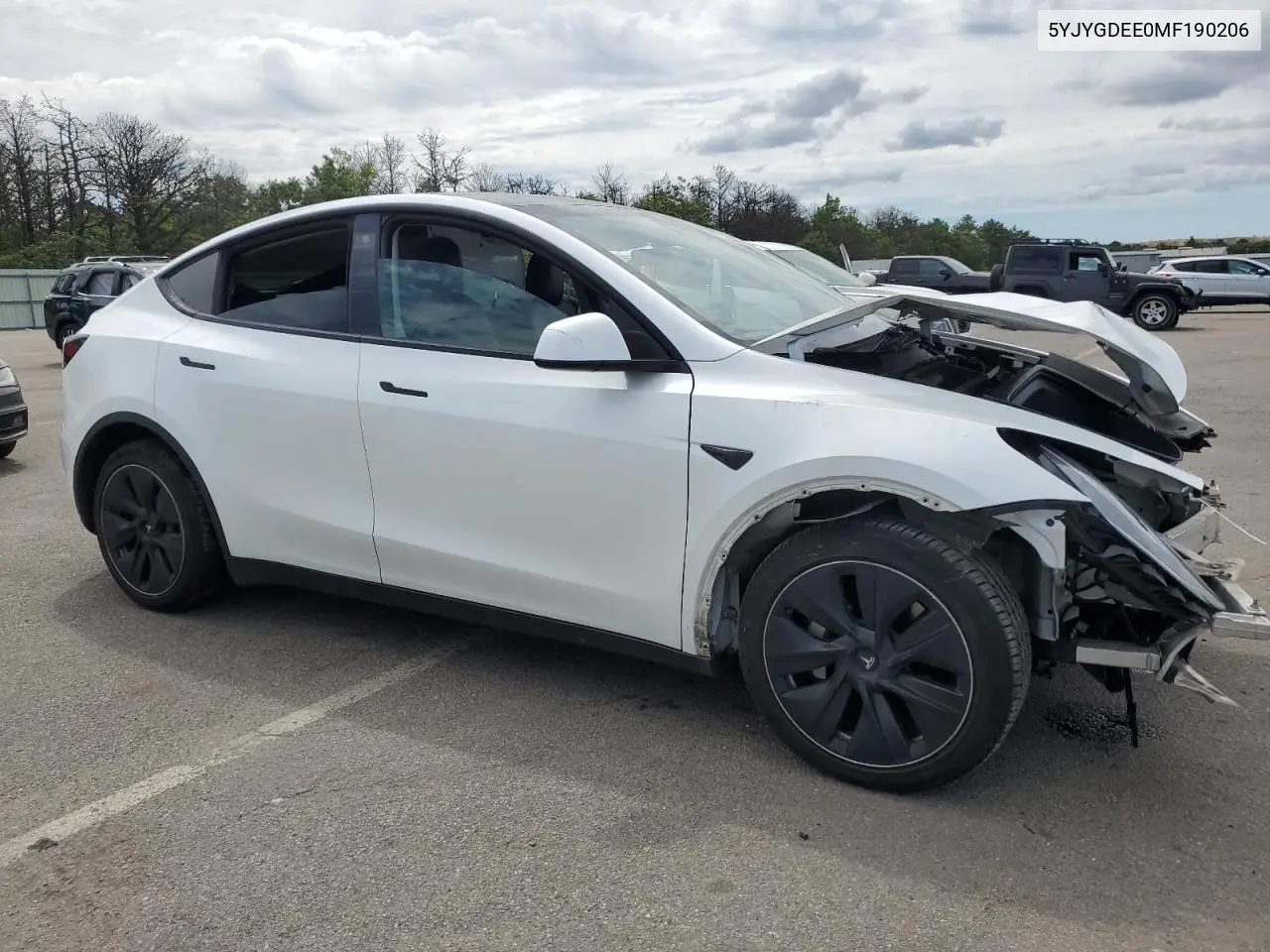 2021 Tesla Model Y VIN: 5YJYGDEE0MF190206 Lot: 64583545
