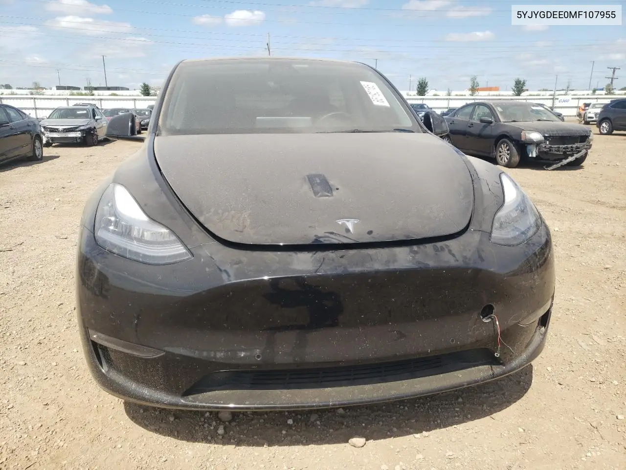 2021 Tesla Model Y VIN: 5YJYGDEE0MF107955 Lot: 65192185