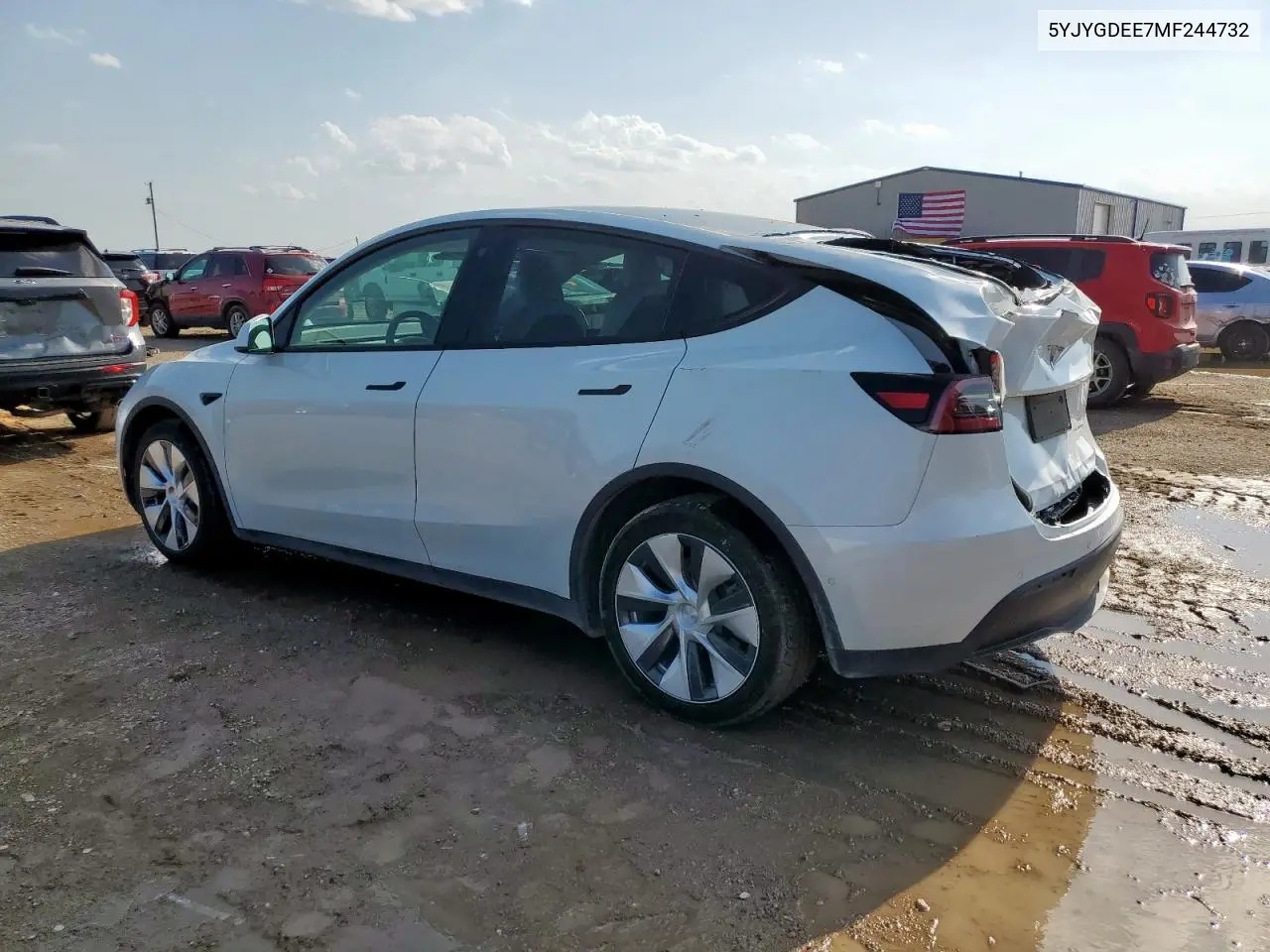 2021 Tesla Model Y VIN: 5YJYGDEE7MF244732 Lot: 65264895