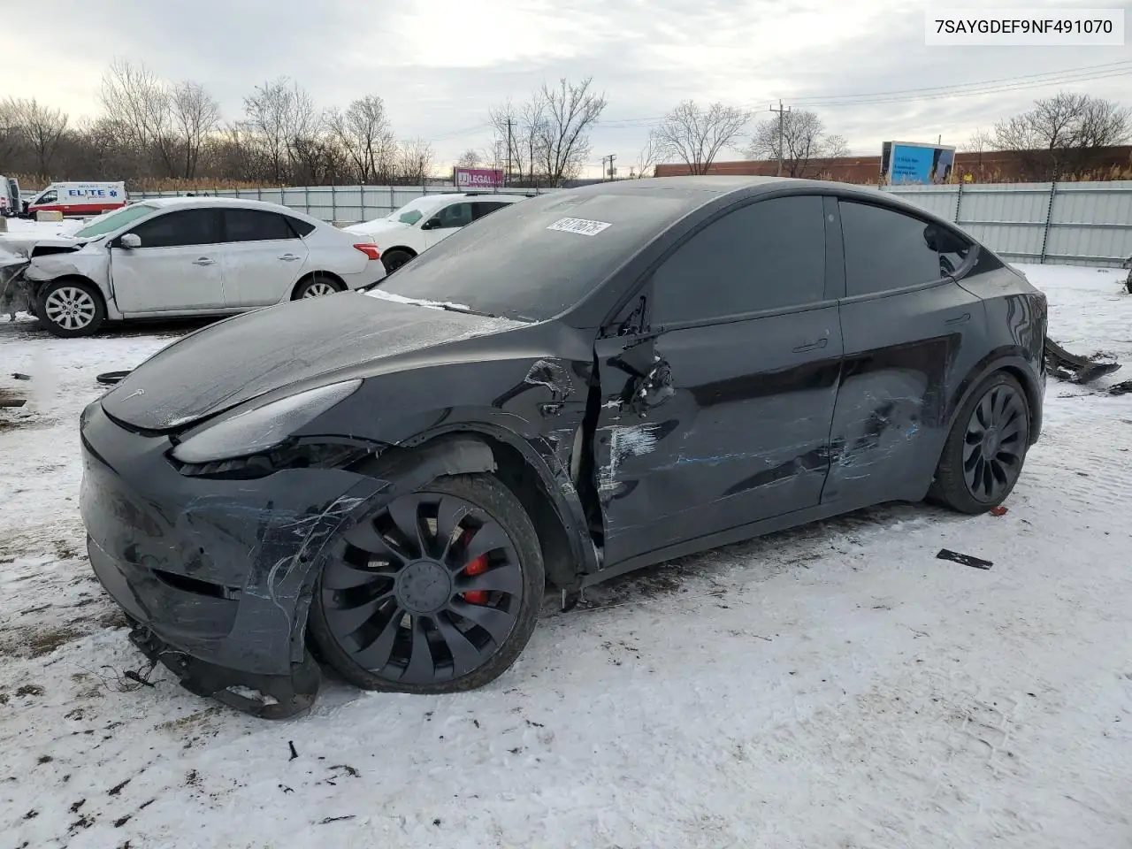 2022 Tesla Model Y VIN: 7SAYGDEF9NF491070 Lot: 45176675