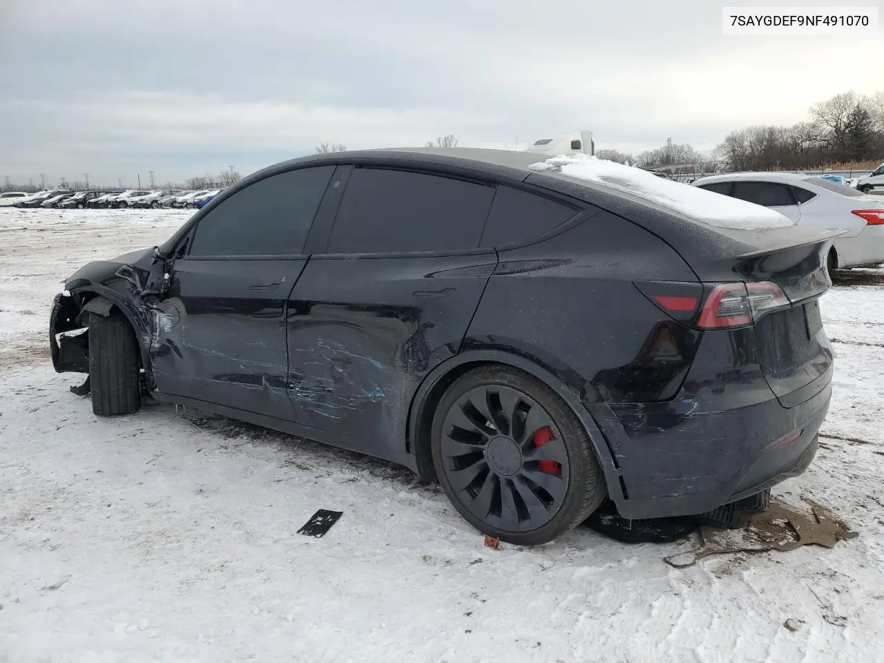2022 Tesla Model Y VIN: 7SAYGDEF9NF491070 Lot: 45176675