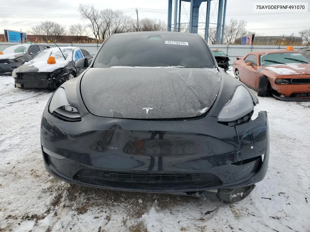 2022 Tesla Model Y VIN: 7SAYGDEF9NF491070 Lot: 45176675