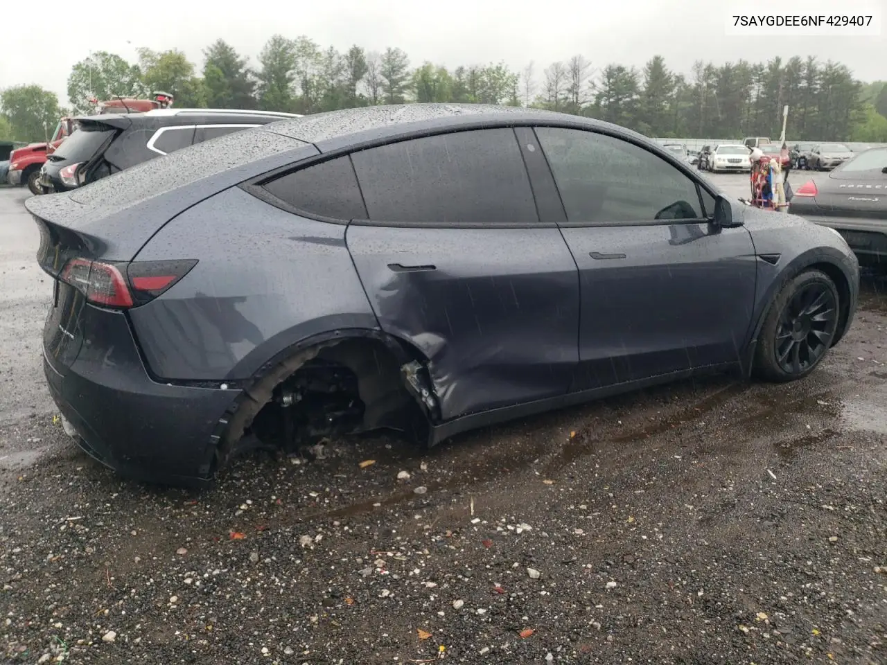 2022 Tesla Model Y VIN: 7SAYGDEE6NF429407 Lot: 52727905