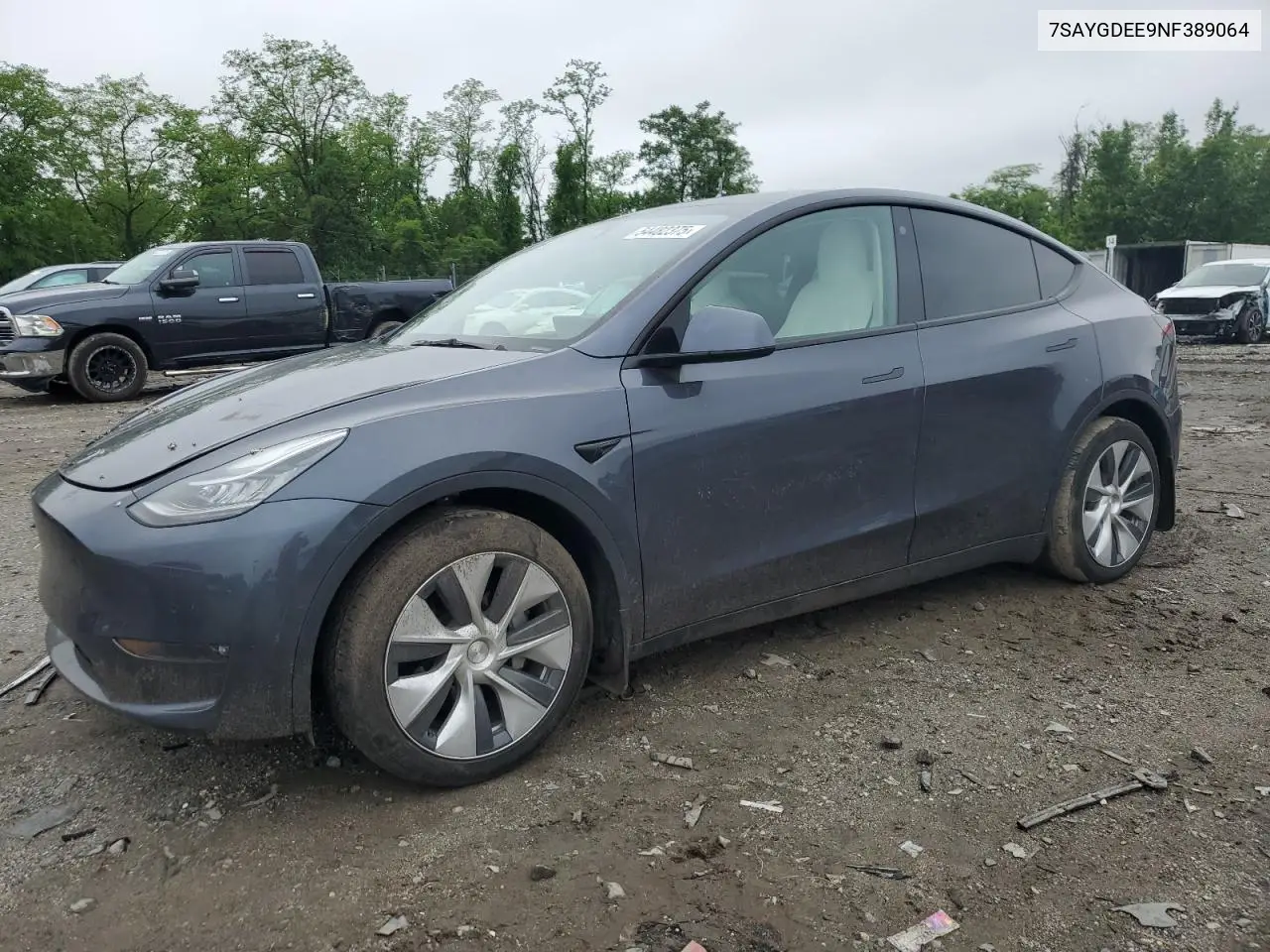 2022 Tesla Model Y VIN: 7SAYGDEE9NF389064 Lot: 54482375