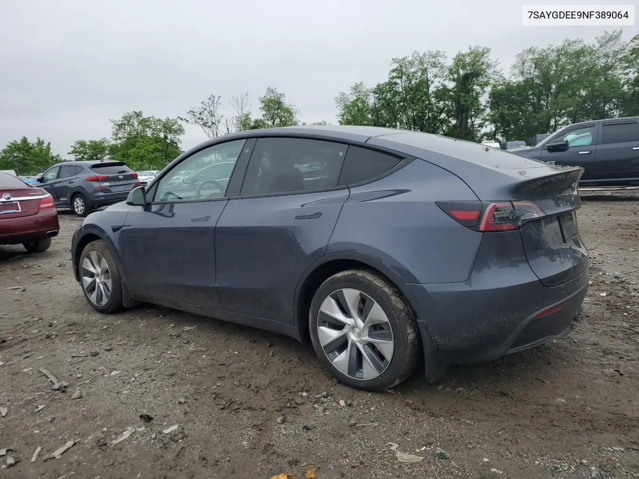2022 Tesla Model Y VIN: 7SAYGDEE9NF389064 Lot: 54482375