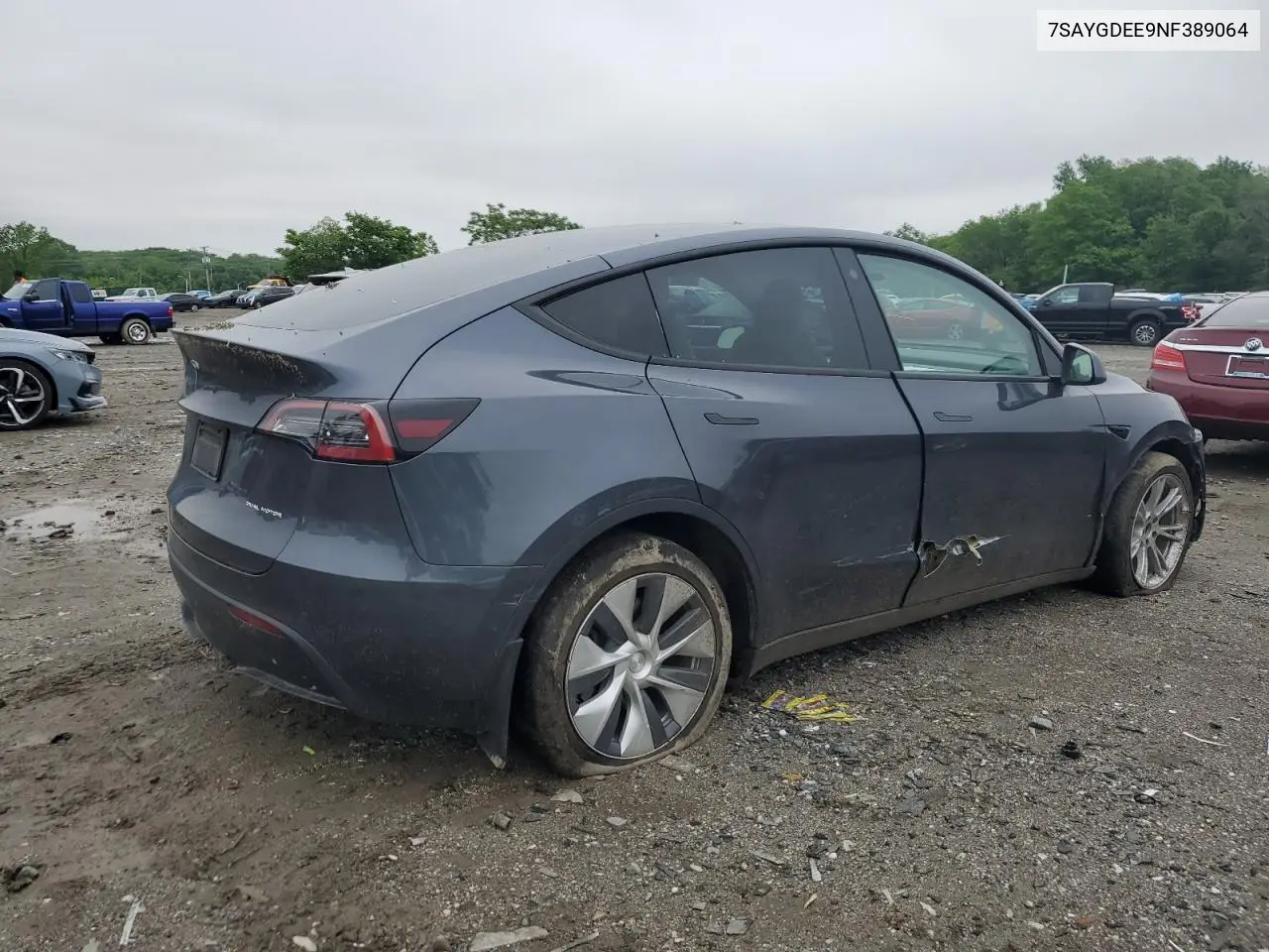 2022 Tesla Model Y VIN: 7SAYGDEE9NF389064 Lot: 54482375
