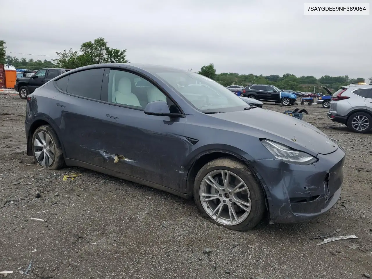 2022 Tesla Model Y VIN: 7SAYGDEE9NF389064 Lot: 54482375