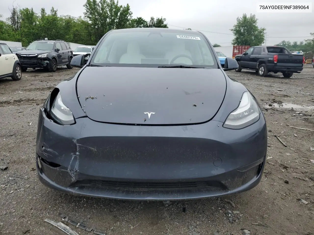 2022 Tesla Model Y VIN: 7SAYGDEE9NF389064 Lot: 54482375