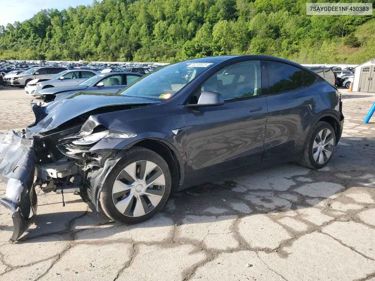2022 Tesla Model Y VIN: 7SAYGDEE1NF430383 Lot: 56208825