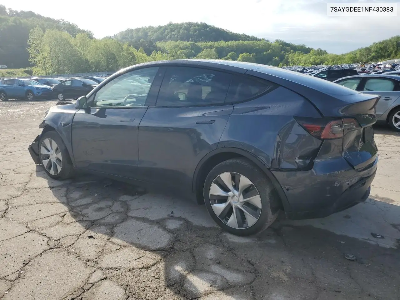 2022 Tesla Model Y VIN: 7SAYGDEE1NF430383 Lot: 56208825