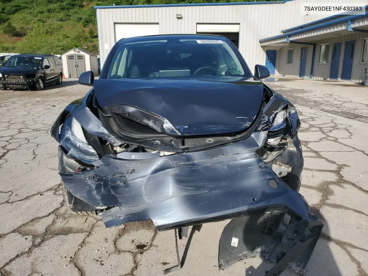 2022 Tesla Model Y VIN: 7SAYGDEE1NF430383 Lot: 56208825