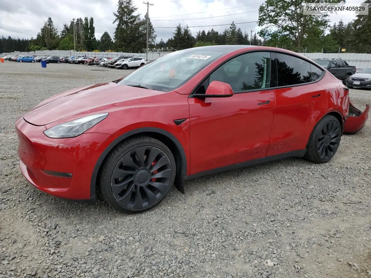 2022 Tesla Model Y VIN: 7SAYGDEFXNF405829 Lot: 56244275
