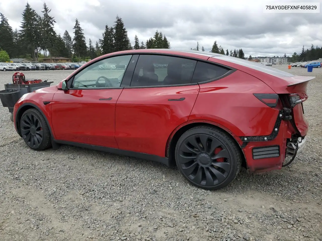 2022 Tesla Model Y VIN: 7SAYGDEFXNF405829 Lot: 56244275