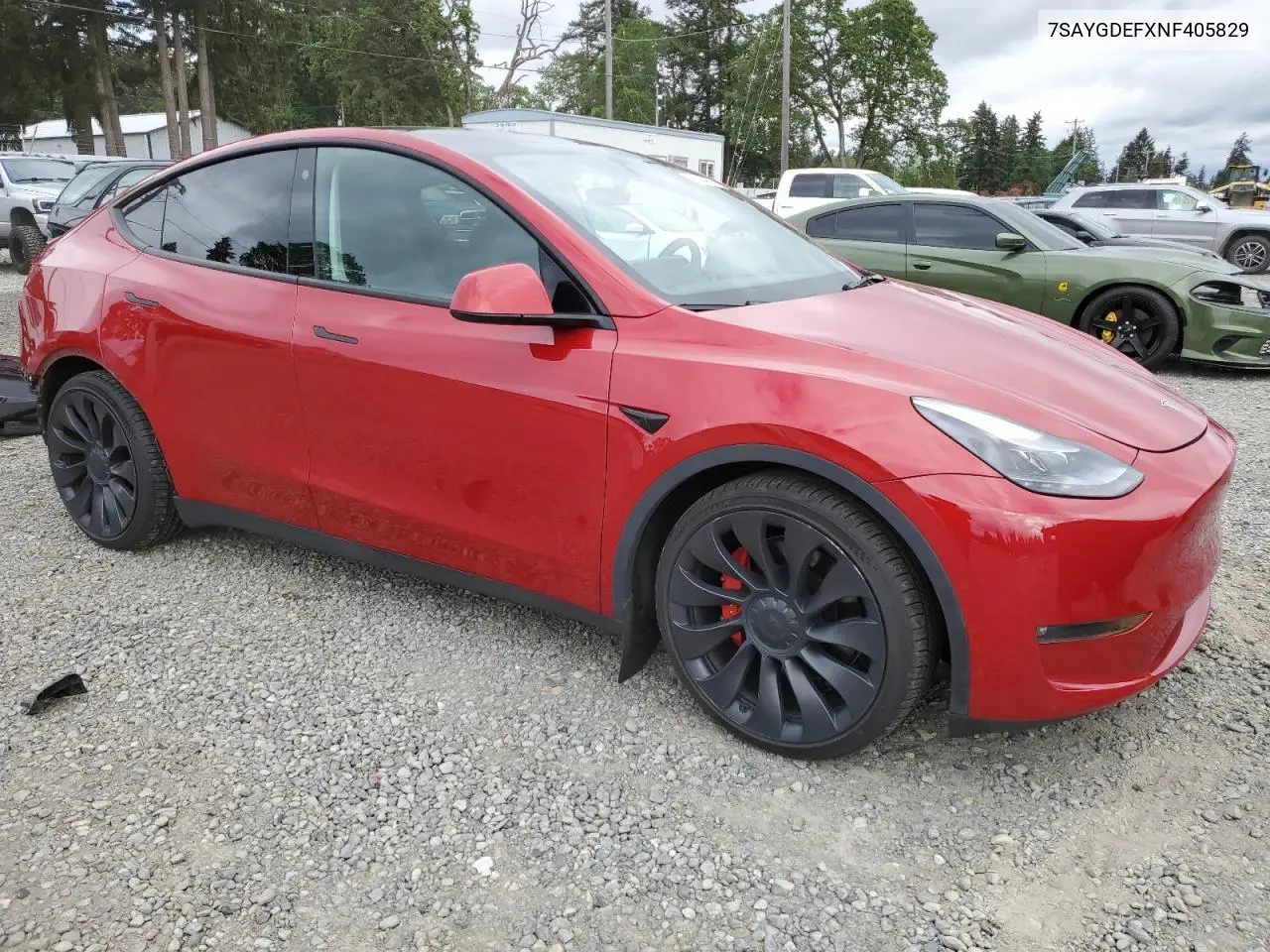 2022 Tesla Model Y VIN: 7SAYGDEFXNF405829 Lot: 56244275