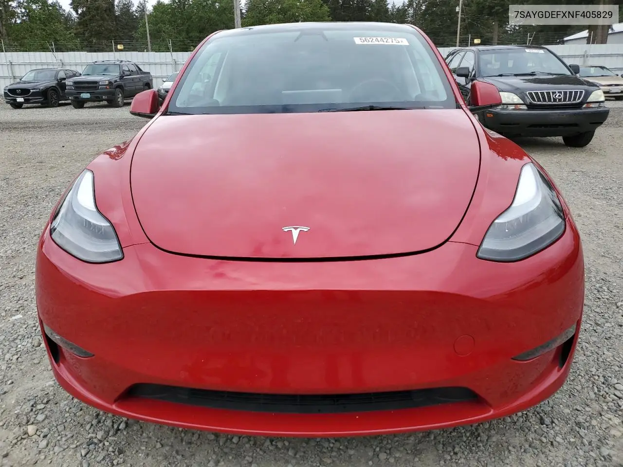 2022 Tesla Model Y VIN: 7SAYGDEFXNF405829 Lot: 56244275