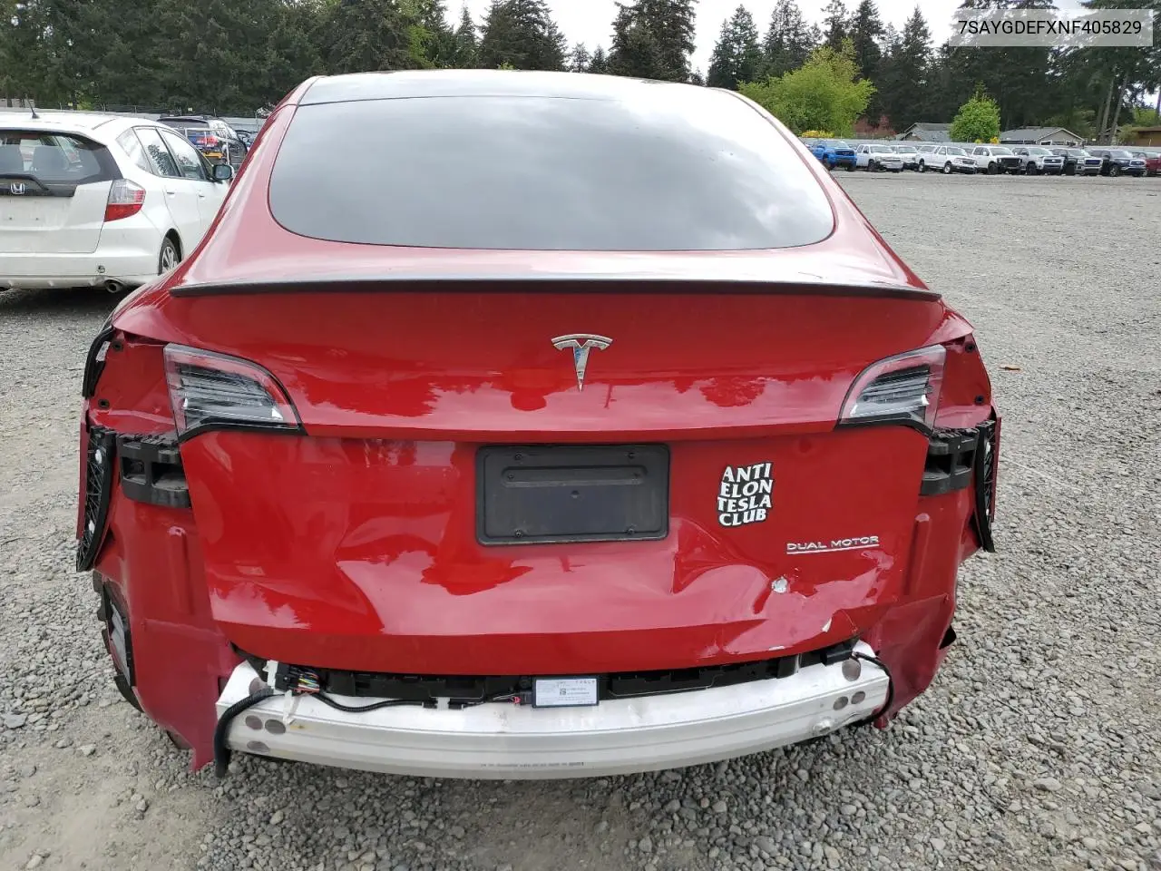 2022 Tesla Model Y VIN: 7SAYGDEFXNF405829 Lot: 56244275