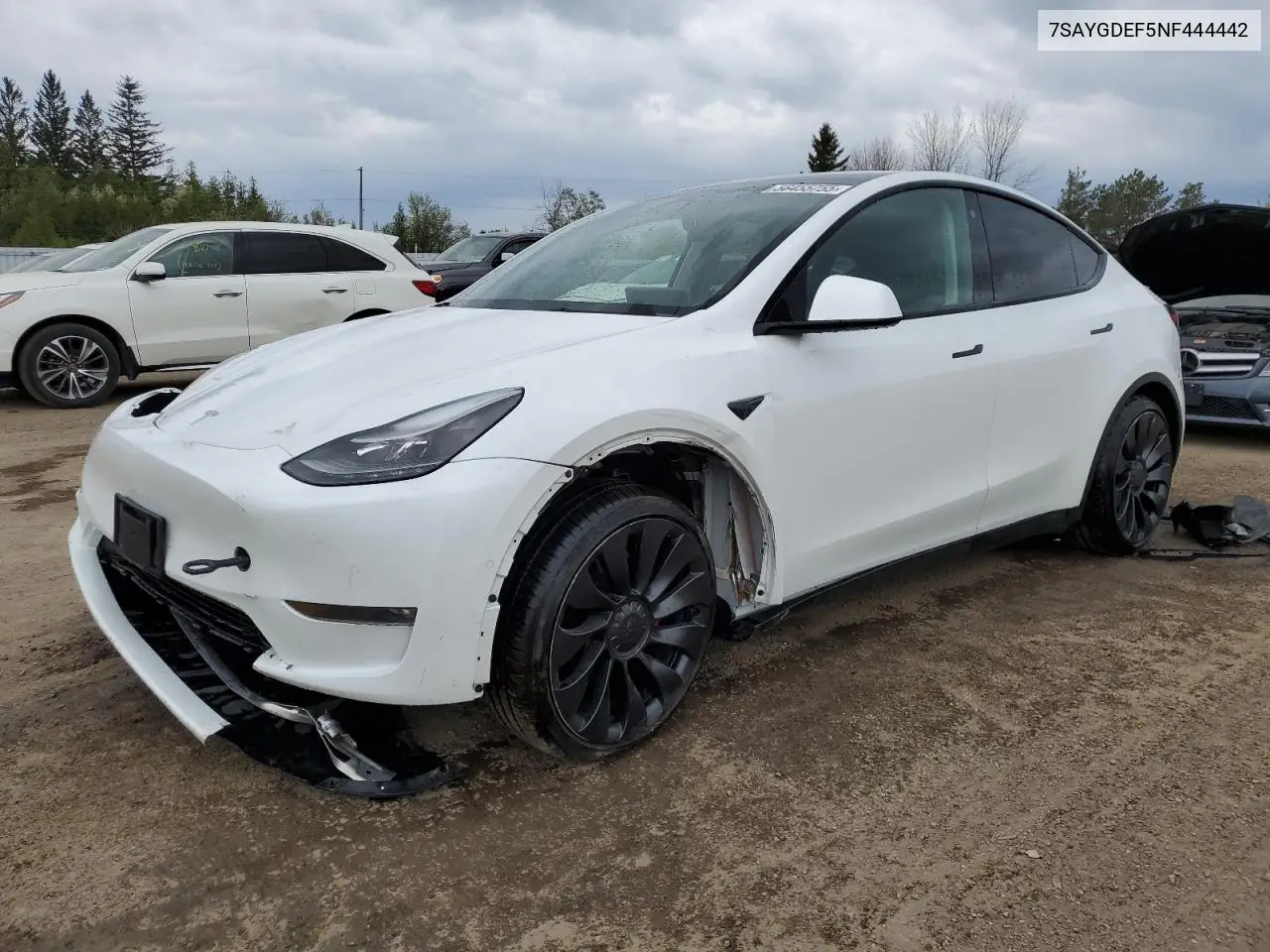 2022 Tesla Model Y VIN: 7SAYGDEF5NF444442 Lot: 56455755