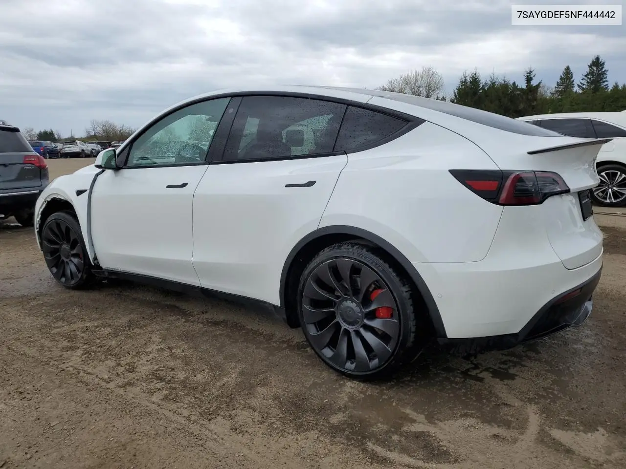 2022 Tesla Model Y VIN: 7SAYGDEF5NF444442 Lot: 56455755