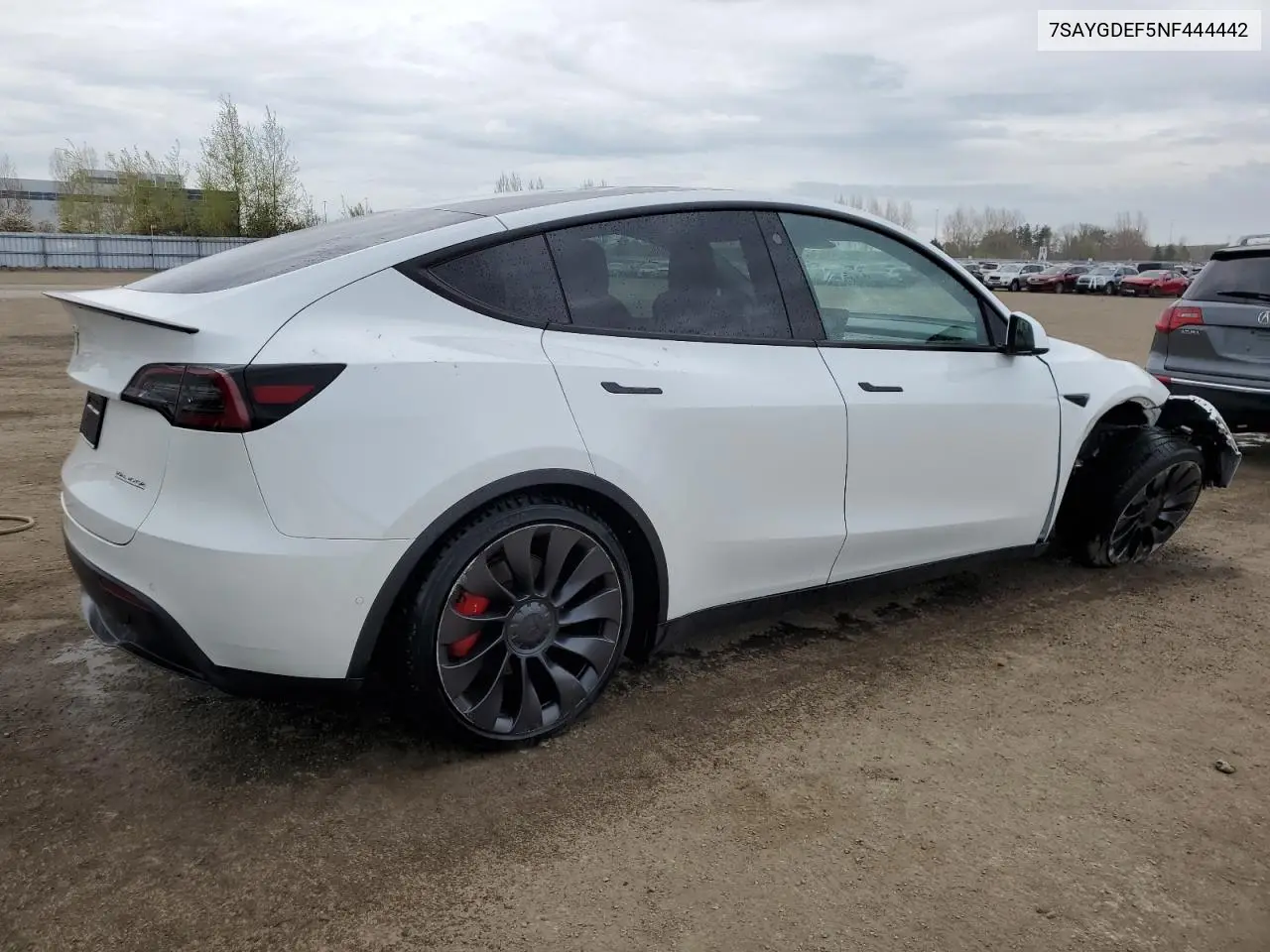 2022 Tesla Model Y VIN: 7SAYGDEF5NF444442 Lot: 56455755
