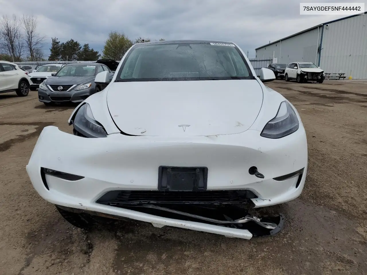 2022 Tesla Model Y VIN: 7SAYGDEF5NF444442 Lot: 56455755
