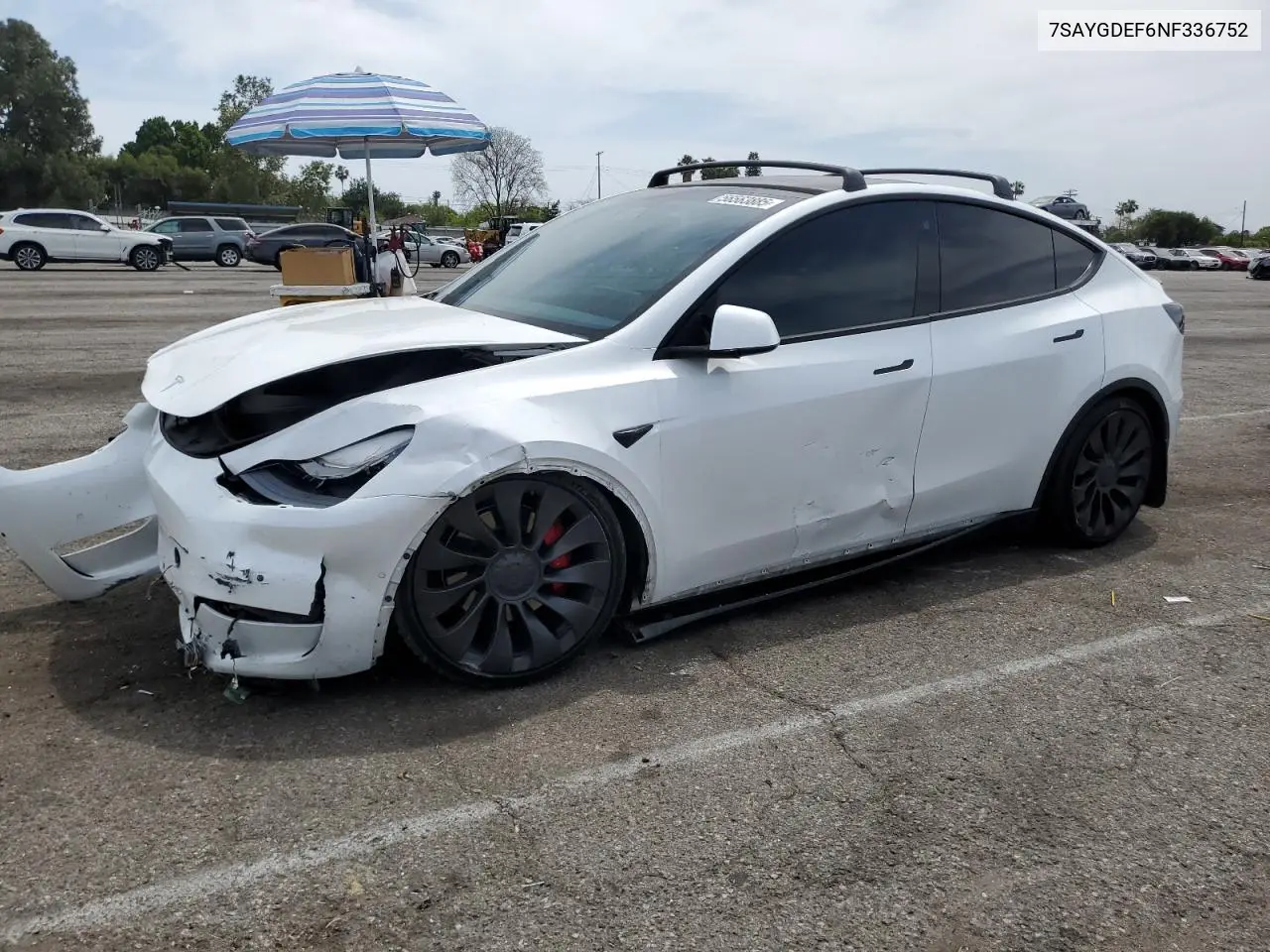 2022 Tesla Model Y VIN: 7SAYGDEF6NF336752 Lot: 56563885