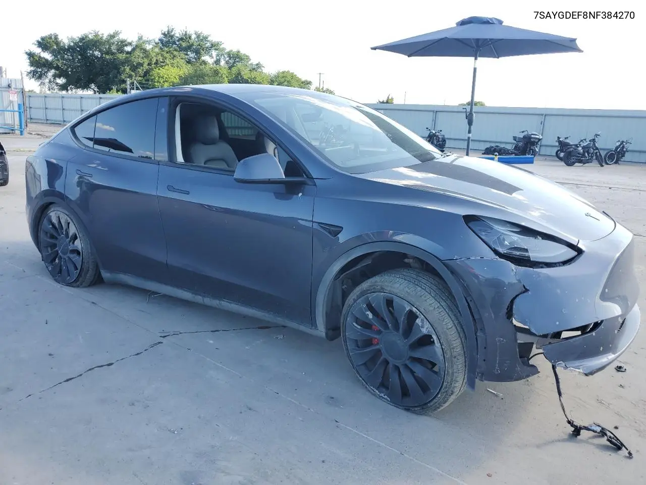 2022 Tesla Model Y VIN: 7SAYGDEF8NF384270 Lot: 56718215