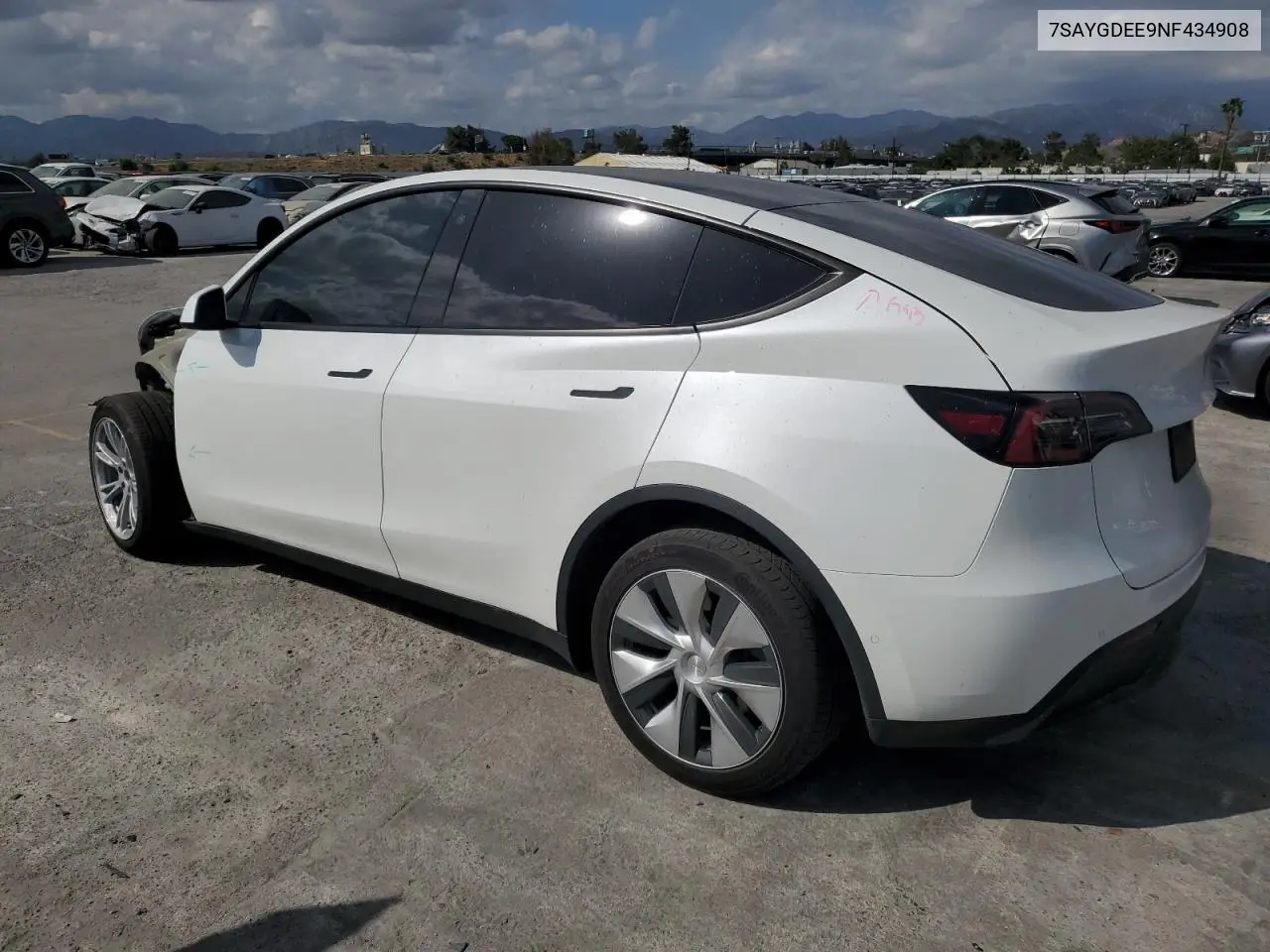 2022 Tesla Model Y VIN: 7SAYGDEE9NF434908 Lot: 56733235
