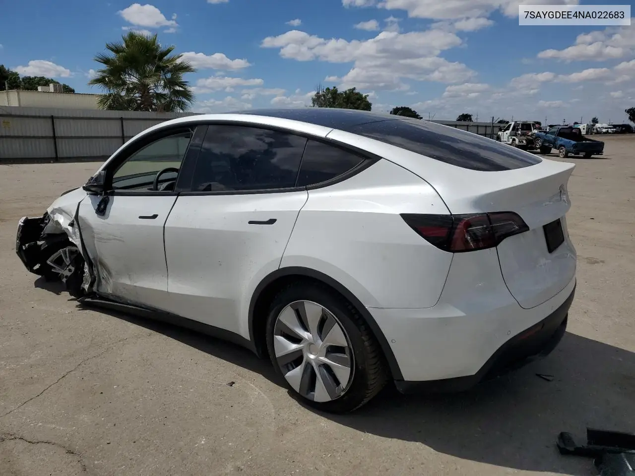 2022 Tesla Model Y VIN: 7SAYGDEE4NA022683 Lot: 56743505