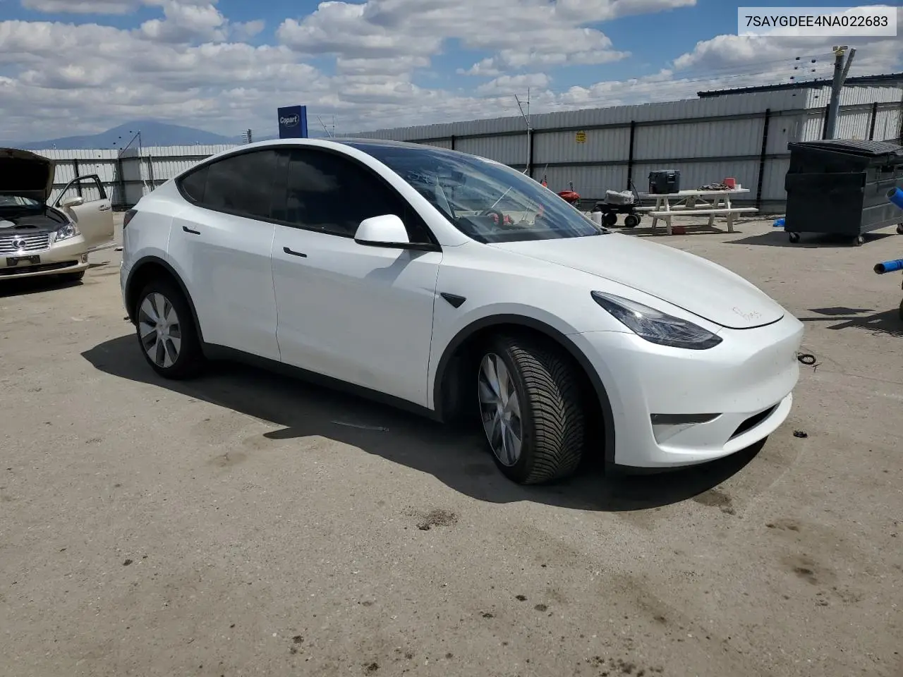2022 Tesla Model Y VIN: 7SAYGDEE4NA022683 Lot: 56743505