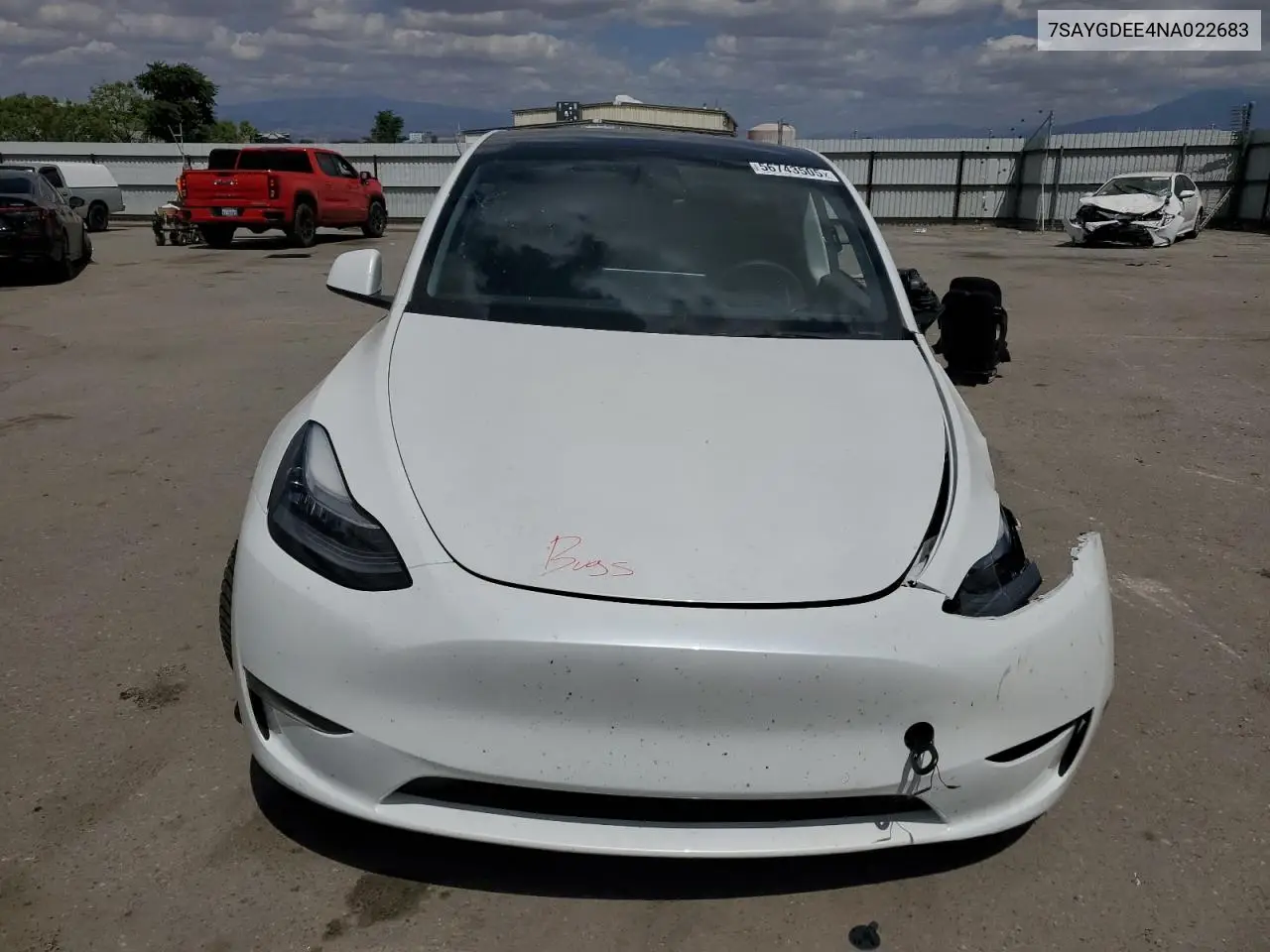 2022 Tesla Model Y VIN: 7SAYGDEE4NA022683 Lot: 56743505