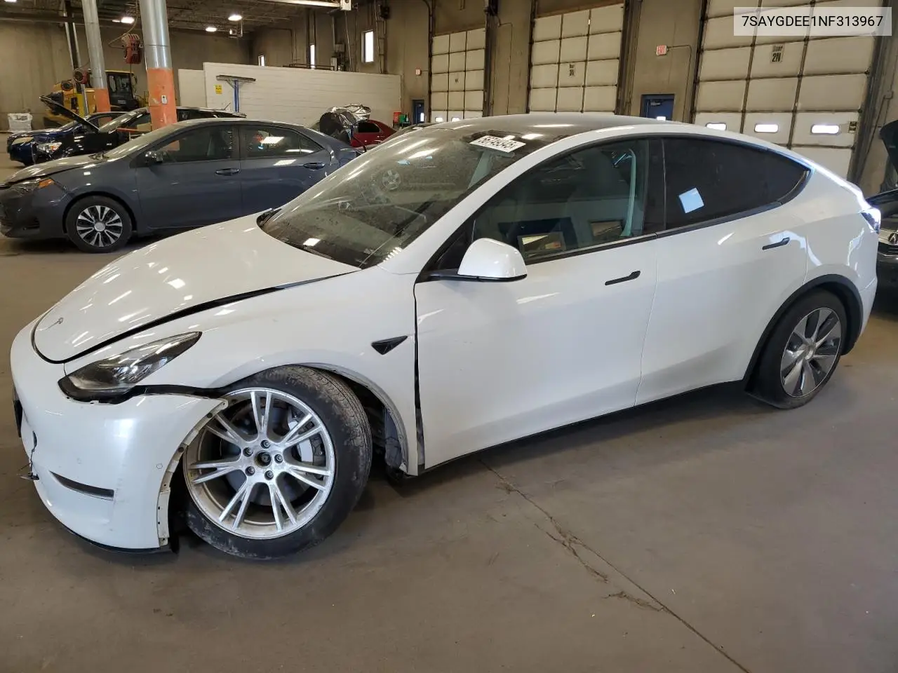 2022 Tesla Model Y VIN: 7SAYGDEE1NF313967 Lot: 56749345