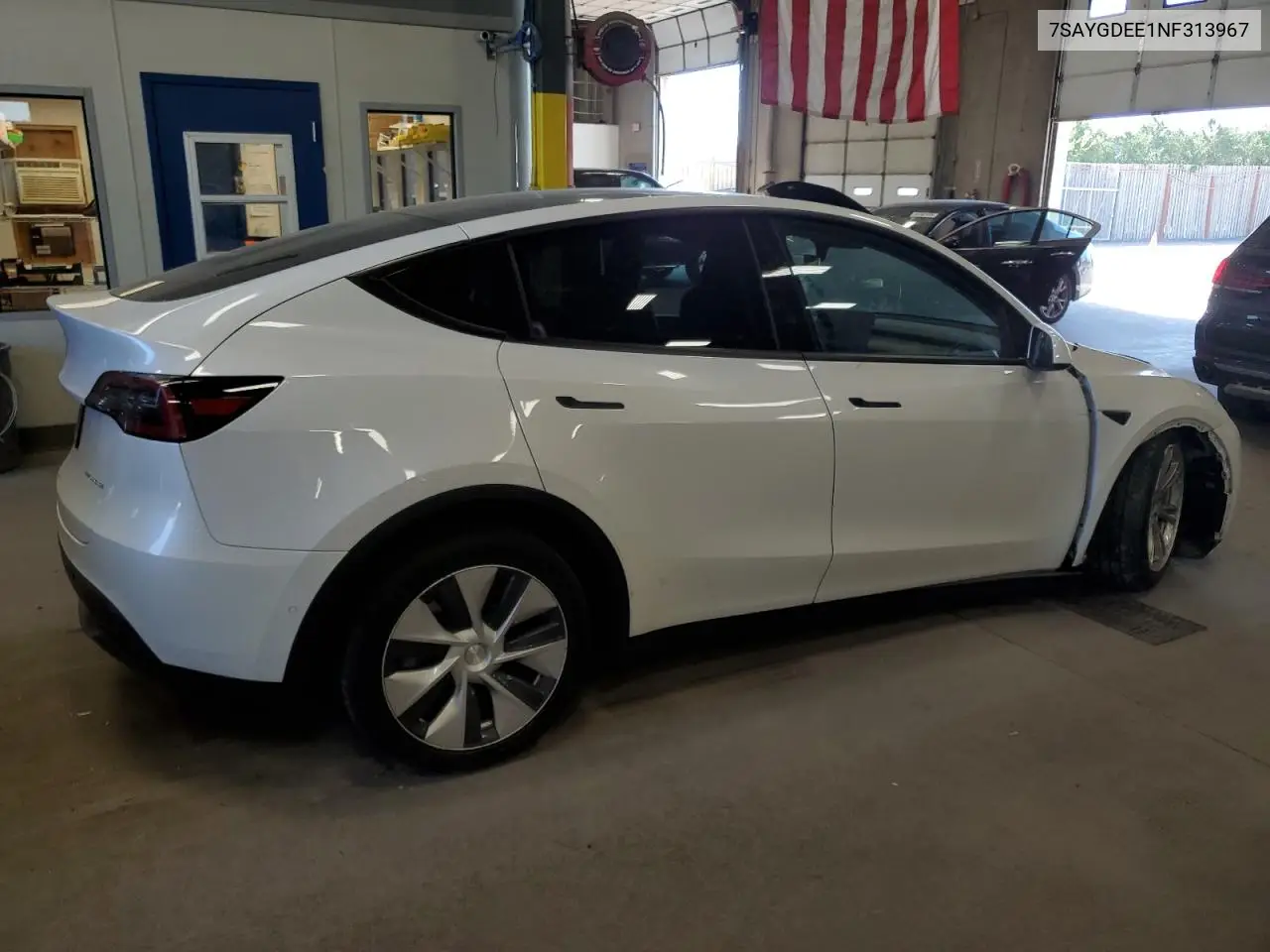 2022 Tesla Model Y VIN: 7SAYGDEE1NF313967 Lot: 56749345