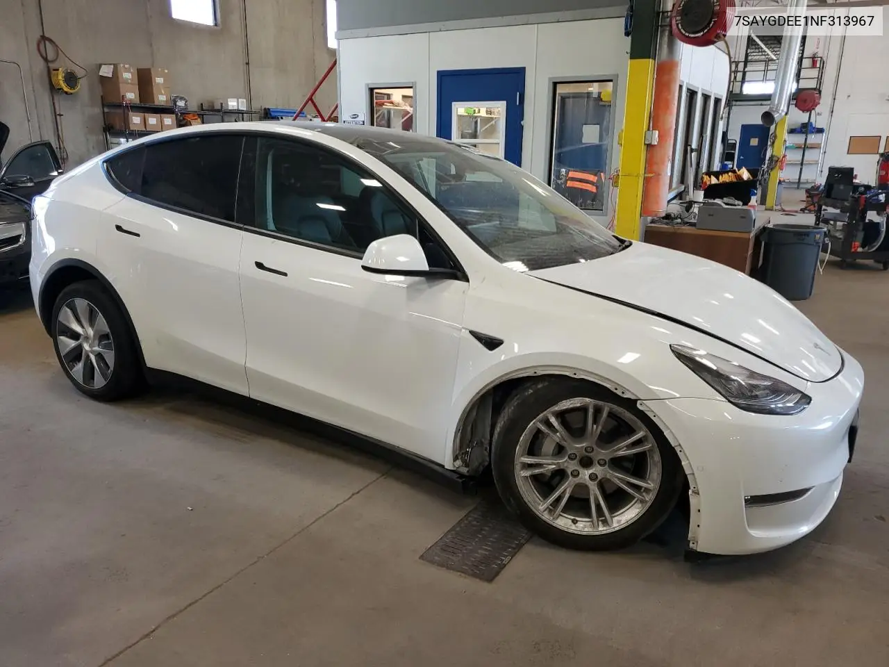 2022 Tesla Model Y VIN: 7SAYGDEE1NF313967 Lot: 56749345